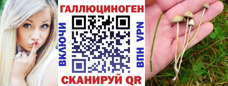 Псилоцибиновые грибы мицелий  Чулым 