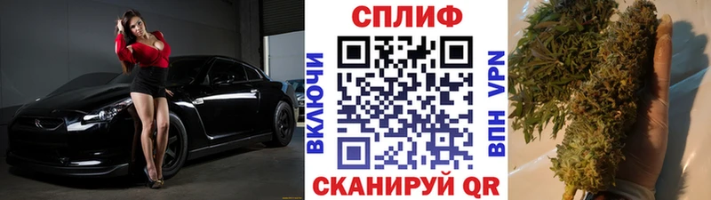 Марихуана гибрид  Чулым 